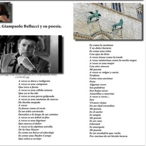 articolo-21